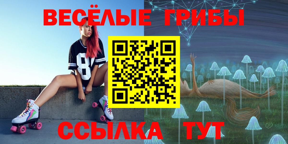 Галлюциногенные грибы прущие грибы  Вход с VPN  Галлюциногенные грибы Cubensis  Курчатов 