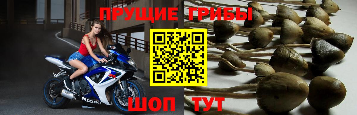Галлюциногенные грибы ЛСД Курчатов